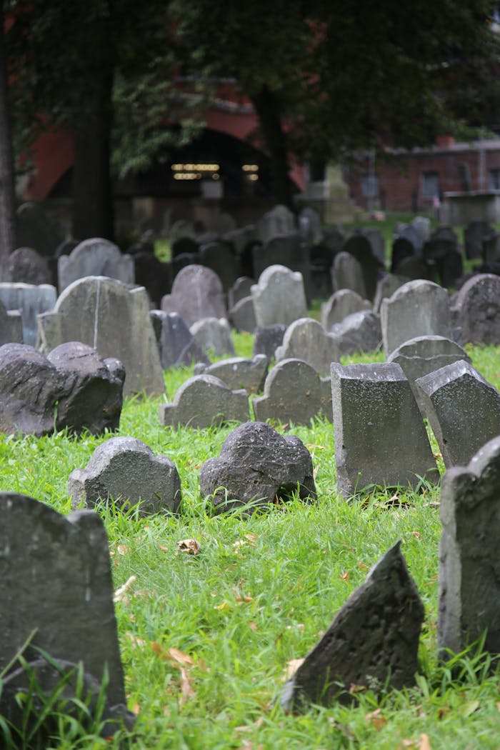 Scenic view of ancient tombstones in a lush green cemetery in Boston on a peaceful day.