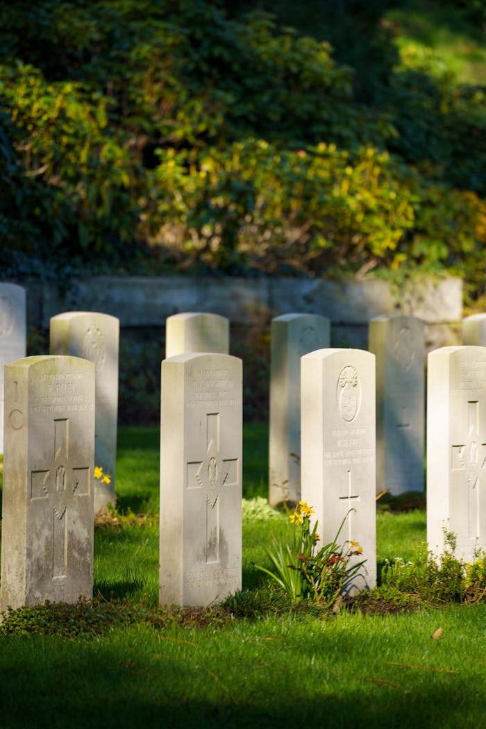 Sunlit gravestones in a peaceful cemetery setting surrounded by green foliage.