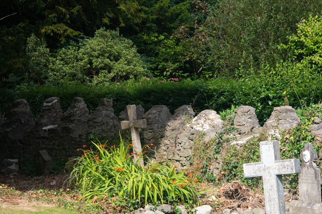 stone-crosses-in-a-lush-green-cemetery-eyfww3y9ho4